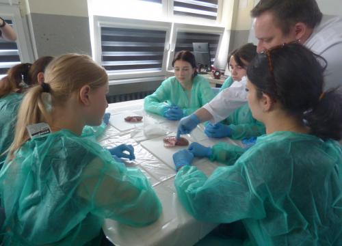 Anatomia w pigułce