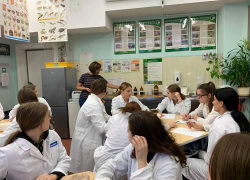 Wykrywanie białek oraz obserwacje mikroskopowe