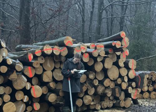 Dzień przędsiębiorczości w praktyce