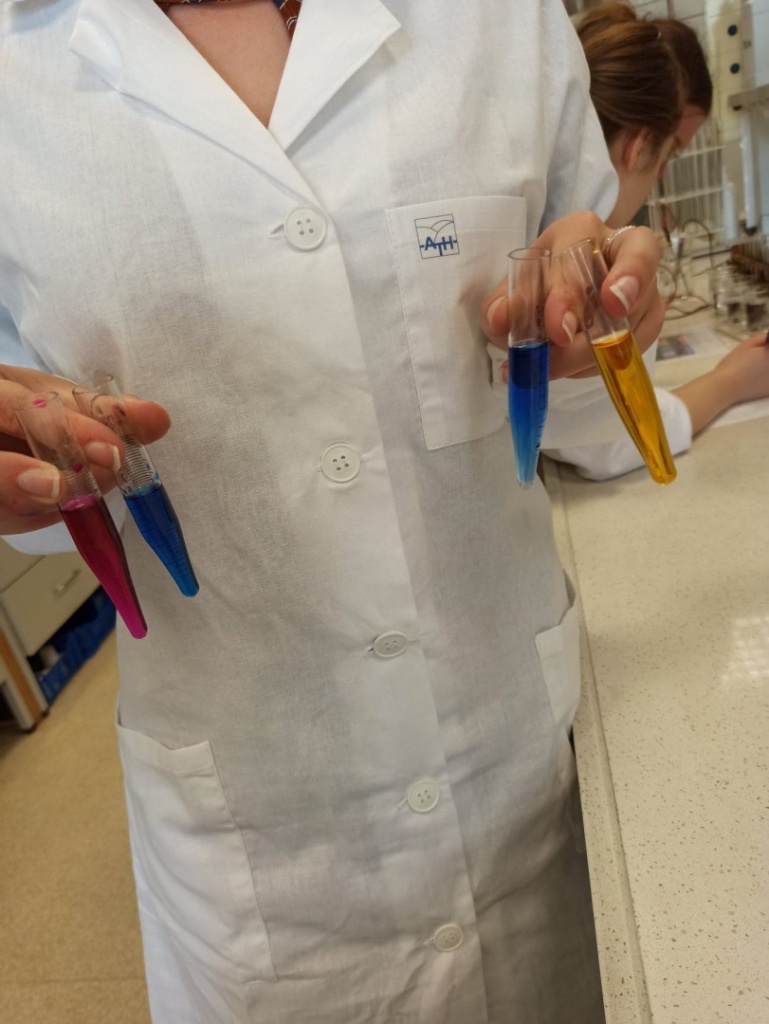 AMIgo