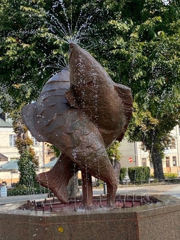 Aqua Dance w Zamościu