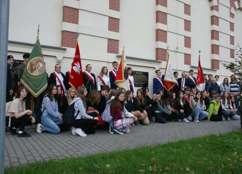 Akcja Sajbush 2023