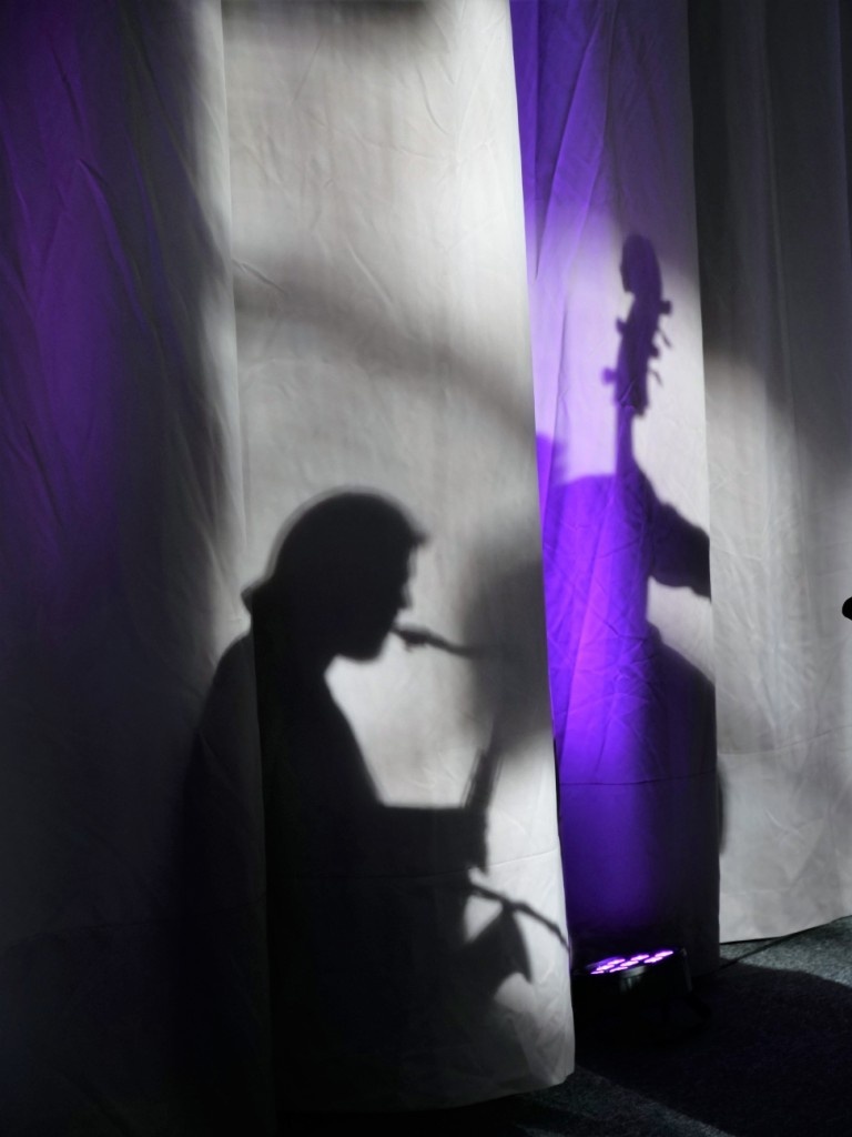 KONCERT CHARYTATYWNY  DLA WERONIKI DROBISZ IV