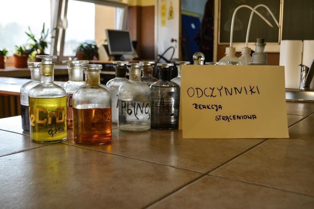 Warsztaty matematyczno  - przyrodnicze 