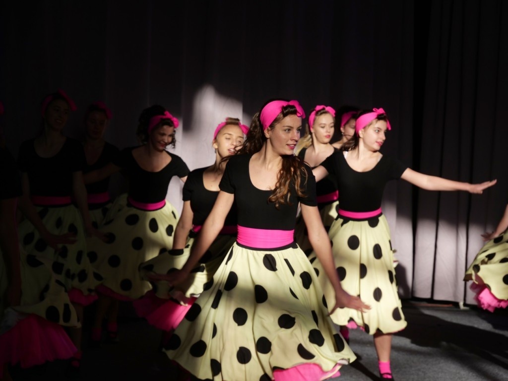 KONCERT CHARYTATYWNY  DLA WERONIKI DROBISZ V